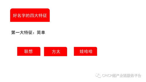 從無到有 肖一刀如何打造豬肉品牌的創新之路